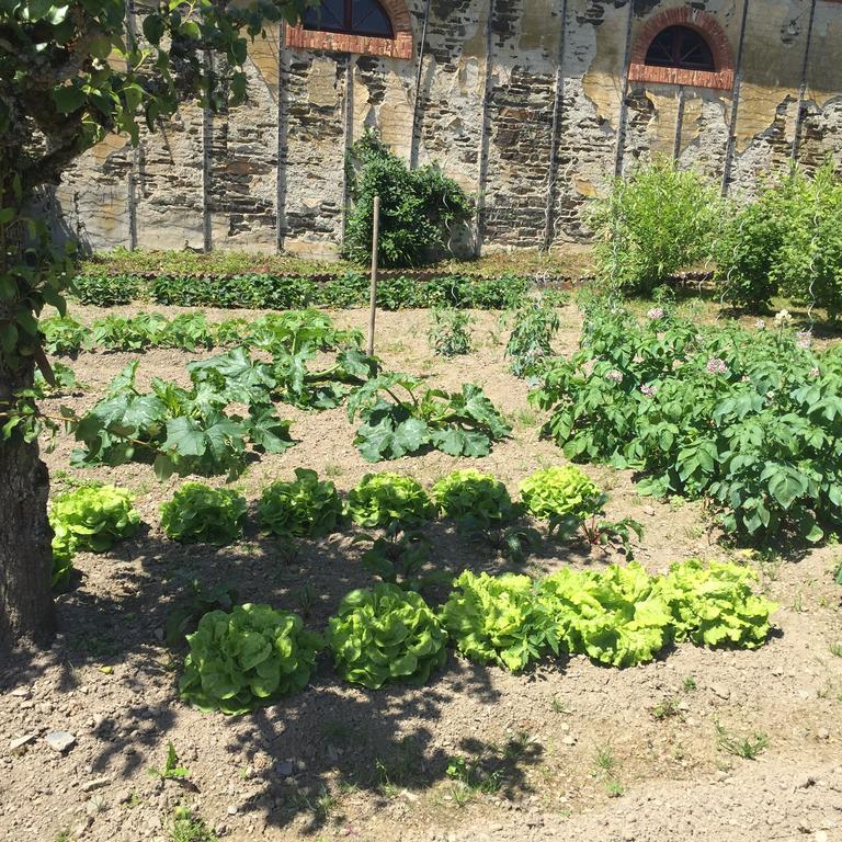 Le Manoir De Benedicte B&B Cahan 외부 사진