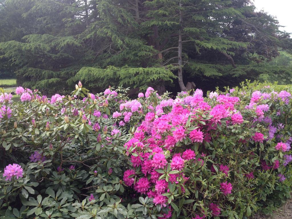 Le Manoir De Benedicte B&B Cahan 외부 사진